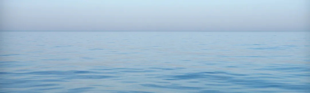 quantummedmarine